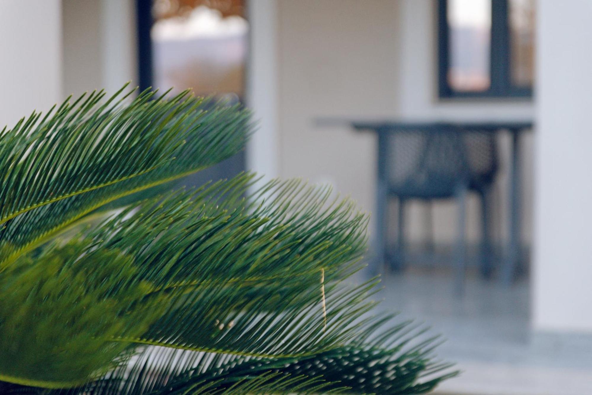 Carpe Diem Moursia Studio Liapades Exterior foto